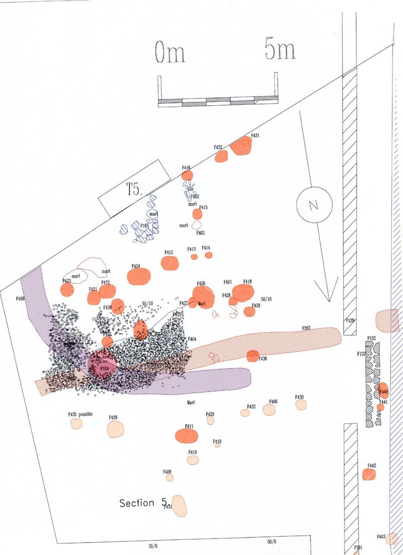 Fig 11. Section 5