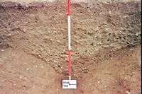Plate 14. T10, homogeneous deliberate fill of the ditch F133.