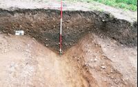 Plate 36. Trench 17, the deliberate fill of the ditch F148