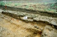 Plate 37. T6. The remains of building F152, with drain F157 and the unexcavated robber trench of the annexe F151