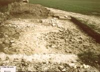Plate 8. S3, spread of sandstone debris, and just appearing in the background are two sections of walling