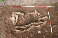 Plate 17. Horse burial, the skeleton as excavated.