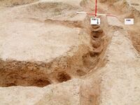 Plate 31. The late Iron Age stockade or palisade trench (F261) in S4, looking south-east, with the post impressions still clear, crossing the earlier gully F263