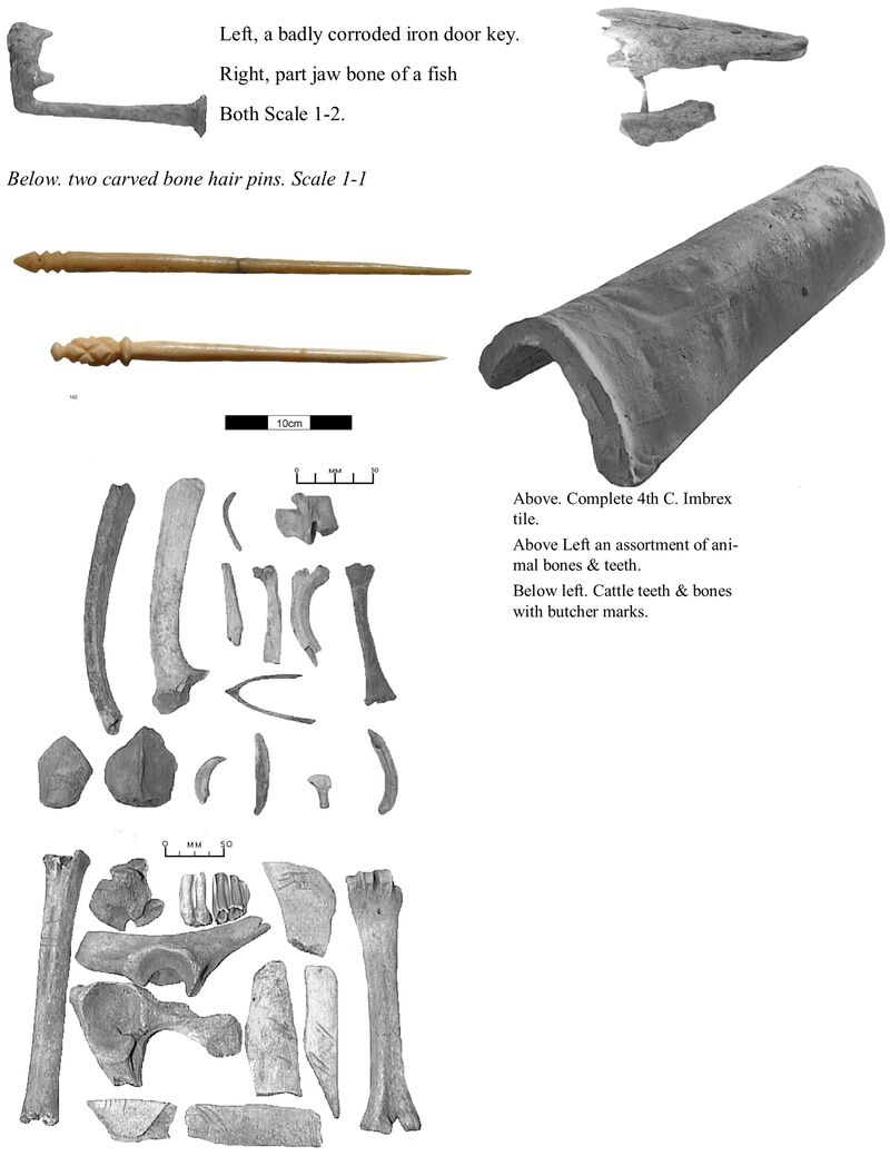 Plate 9. Artefacts from F134 pit