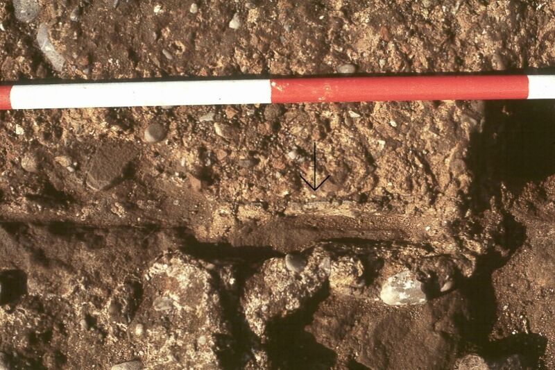 Plate 3. Painted plaster sandwiched between wall and floor. part surviving top course of stonework on walls A, B, and E, was of a different colour and texture to that below.